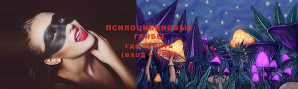 амф Алексеевка