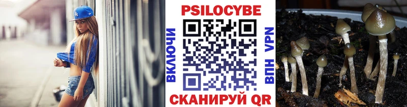где можно купить наркотик  Билибино  Галлюциногенные грибы прущие грибы 